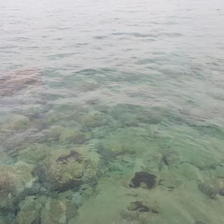 Th Luxury & Affittacamere