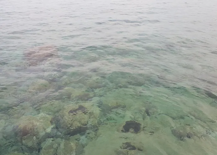 Th Luxury & Pensión