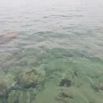 Th Luxury & Gasthuis